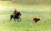 Drga Ranch