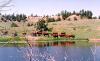 Drga Ranch
