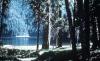 Spar Lake Campground