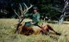 Avalanche Basin Outfitters