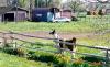 Nunberg's N Heart Ranch Bed & Breakfast Inn