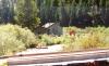 Solbergs Pine Valley Cabins