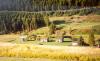 Solbergs Pine Valley Cabins