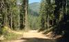 Bull River Campground