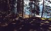 Bull River Campground