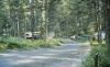 North Dickey Lake Campground