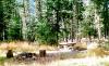 Hicks Park Campground