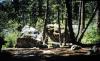 Rising Sun Campground
