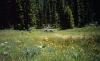 Half Moon Campground