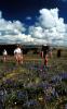 Lone Mountain Ranch