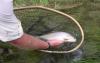 Kootenai River Outfitters