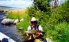 Jack River Outfitters