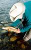Joe Biner's Rainbow Guide Service
