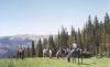 Montana Safaris