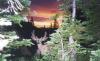 Montana Safaris
