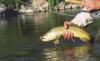 Upper Canyon Ranch & Outfitting