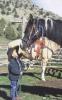 Upper Canyon Ranch & Outfitting
