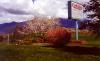 Creek Side Motel & RV Park