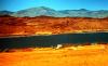 Ruby Reservoir