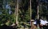 Little River Motel