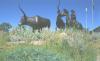 Billings Convention and Visitors Bureau