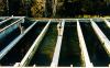 Creston Fish and Wildlife Center
