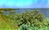 Medicine Lake National Wildlife Refuge