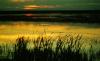 Benton Lake National Wildlife Refuge