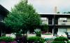 Best Western Ponderosa Inn