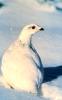 Glacier Village Property Management