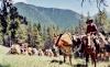 WTR Outfitters, LLC