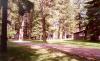 The Roost Cabins
