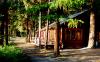 Tamaracks Resort