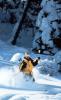 Montana Snowbowl