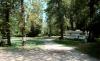 Jocko Hollow Campground