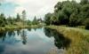 Jocko Hollow Campground