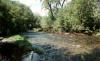 Jocko Hollow Campground