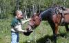 Hawley Mountain Guest Ranch