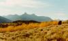 Castle Creek Outfitters and Guide Service