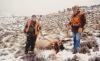 Castle Creek Outfitters and Guide Service