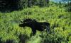 Glacier Country Tourism Commission