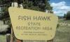 Fish Hawk