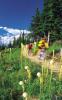 Big Mountain Resort