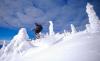 Big Mountain Ski and Summer Resort